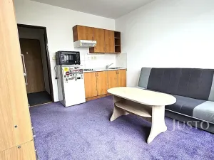 Pronájem bytu 1+kk, Písek, Dr. M. Horákové, 20 m2