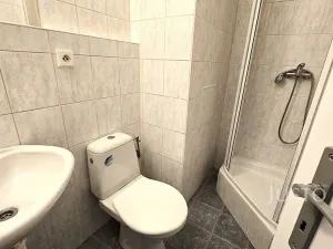 Pronájem bytu 1+kk, Písek, Dr. M. Horákové, 20 m2