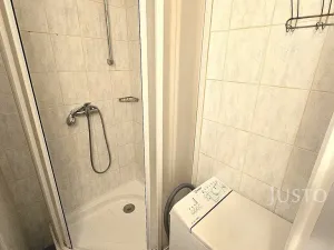 Pronájem bytu 1+kk, Písek, Dr. M. Horákové, 20 m2