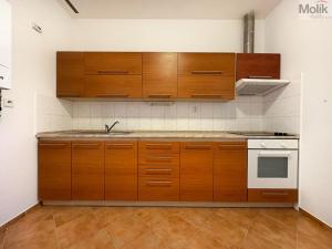 Pronájem bytu 1+1, Teplice - Trnovany, Štúrova, 42 m2