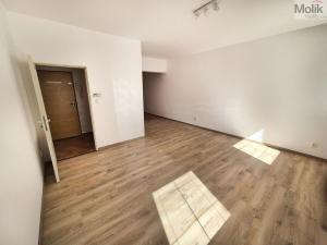 Pronájem bytu 1+1, Teplice - Trnovany, Štúrova, 42 m2
