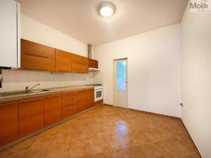 Pronájem bytu 1+1, Teplice - Trnovany, Štúrova, 42 m2