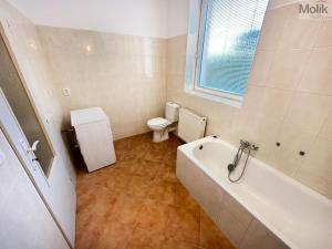Pronájem bytu 1+1, Teplice - Trnovany, Štúrova, 42 m2
