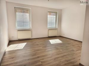 Pronájem bytu 1+1, Teplice - Trnovany, Štúrova, 42 m2