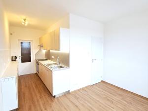 Pronájem bytu 1+1, České Budějovice, Kubatova, 50 m2