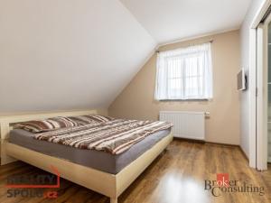 Prodej rodinného domu, Javorník, 296 m2