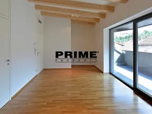 Pronájem rodinného domu, Praha - Košíře, Musílkova, 400 m2