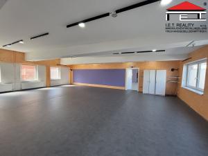 Pronájem skladu, Frýdek-Místek, Pionýrů, 430 m2