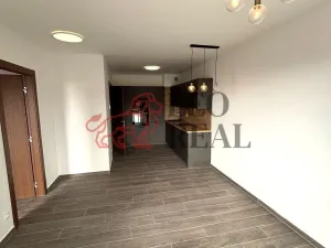 Prodej bytu 2+kk, Teplice, Novoveská, 56 m2