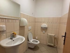 Pronájem kanceláře, Frýdek-Místek - Místek, Pionýrů, 22 m2