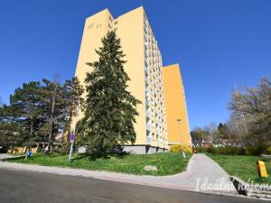 Pronájem bytu 1+1, Brno, Horácké náměstí, 40 m2