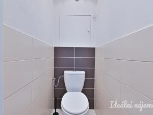 Pronájem bytu 1+1, Brno, Horácké náměstí, 40 m2
