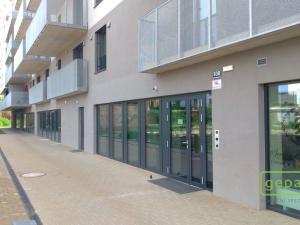 Pronájem bytu 1+kk, Brno - Zábrdovice, Bratislavská, 33 m2