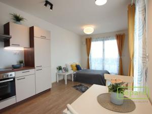 Pronájem bytu 1+kk, Brno - Zábrdovice, Bratislavská, 33 m2