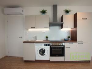 Pronájem bytu 1+kk, Brno - Zábrdovice, Bratislavská, 33 m2