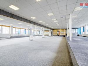 Pronájem výrobních prostor, Plzeň - Lobzy, Revoluční, 635 m2