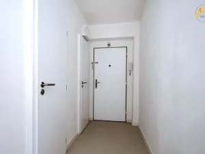 Pronájem bytu 2+1, Písek - Budějovické Předměstí, Dr. M. Horákové, 53 m2