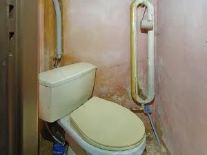 Prodej zemědělské usedlosti, Slabčice, 110 m2