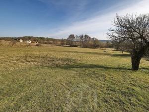 Prodej zemědělské usedlosti, Slabčice, 110 m2