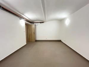 Pronájem obchodního prostoru, Brno, Cihlářská, 51 m2