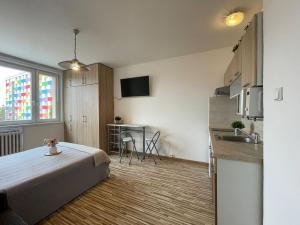 Pronájem bytu 1+kk, Olomouc - Povel, Janského, 25 m2