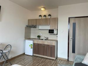 Pronájem bytu 1+kk, Olomouc - Povel, Janského, 25 m2