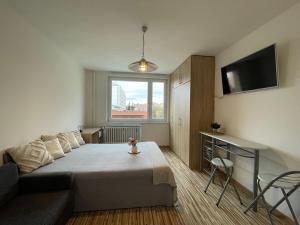 Pronájem bytu 1+kk, Olomouc - Povel, Janského, 25 m2