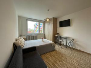 Pronájem bytu 1+kk, Olomouc - Povel, Janského, 25 m2