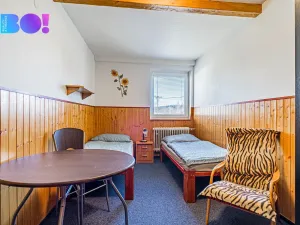 Prodej ubytování, Staré Město - Chrastice, 800 m2