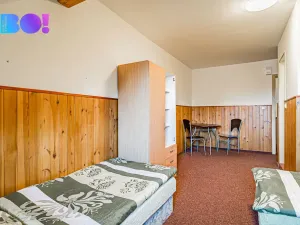 Prodej ubytování, Staré Město - Chrastice, 800 m2