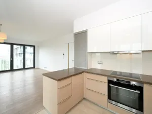 Pronájem bytu 4+kk, Praha - Žižkov, Olšanská, 120 m2