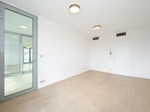 Pronájem bytu 4+kk, Praha - Žižkov, Olšanská, 120 m2