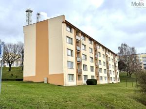 Prodej bytu 2+1, Meziboří, J. A. Komenského, 44 m2