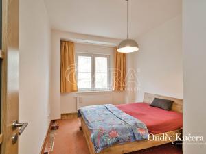 Prodej bytu 2+kk, Praha - Žižkov, Biskupcova, 45 m2