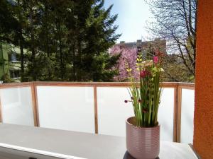 Pronájem bytu 1+1, Vyškov, Sídliště Osvobození, 31 m2