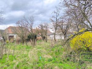 Prodej rodinného domu, Tavíkovice, 236 m2