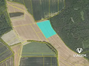 Prodej pole, Kotopeky, 19302 m2