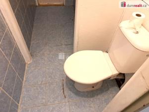 Prodej bytu 2+1, Ústí nad Labem - Krásné Březno, U Pivovarské zahrady, 63 m2