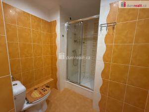 Pronájem bytu 1+kk, Teplice, U divadla, 35 m2