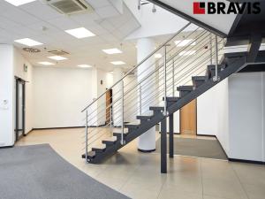 Pronájem obchodního prostoru, Brno, Orlí, 192 m2