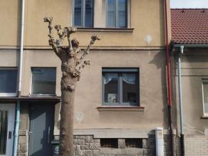 Prodej rodinného domu, Plzeň, U Světovaru, 100 m2