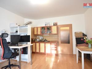 Pronájem bytu 1+kk, Praha - Hloubětín, Nepelova, 45 m2