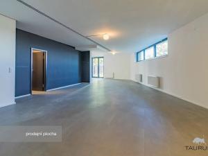 Prodej kanceláře, Praha - Košíře, Lerausova, 92 m2
