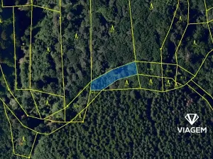 Prodej lesa, Střílky, 592 m2