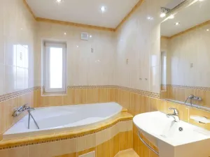 Pronájem rodinného domu, Spojil, U Lípy, 142 m2