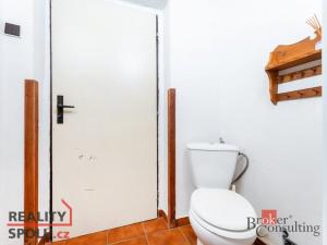 Prodej chaty, Kasalice - Kasaličky, 65 m2