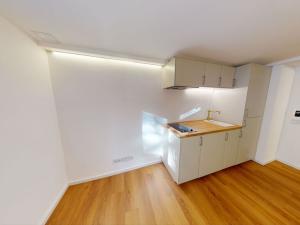 Pronájem bytu 1+kk, Praha - Břevnov, Nad Kajetánkou, 17 m2