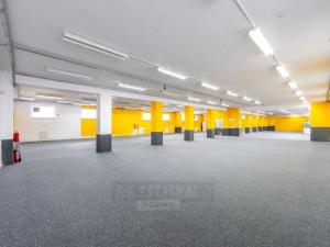Pronájem obchodního prostoru, České Budějovice - České Budějovice 3, Suchomelská, 800 m2