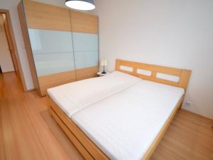 Pronájem bytu 2+kk, Brno - Veveří, Lidická, 40 m2