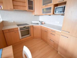 Pronájem bytu 2+kk, Brno - Veveří, Lidická, 40 m2